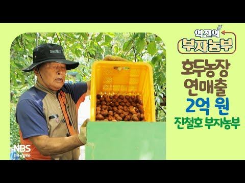 [역전의부자농부 217회] 호두 농장 운영으로 연 매출 2억 원! 전남 담양 진철호 부자농부