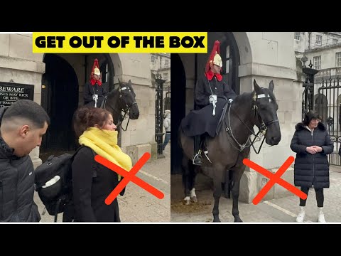 Hero Guard Shouts at Ignorant Tourists 🤣 They Won’t Forget This