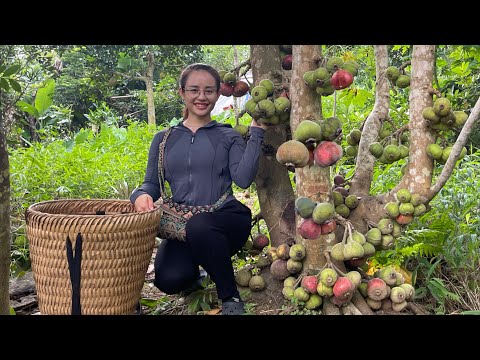 Harvest giant figs, sell them at the market, and take care of livestock.