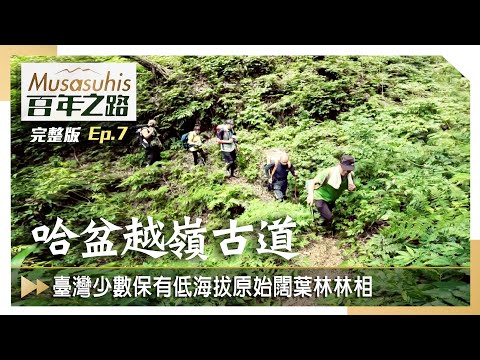 #Musasuhis百年之路【哈盆越嶺古道】EP7