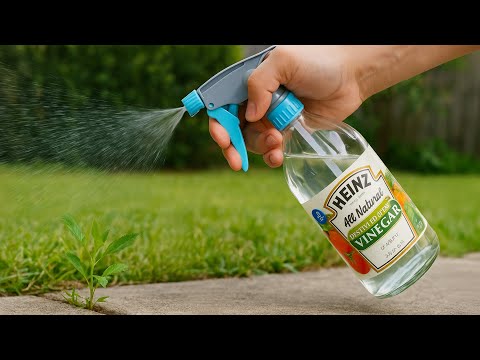 14 Amazing Tricks With Vinegar That EVERYONE Should Know