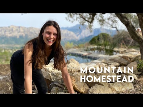 Creating an OFF-GRID PARADISE | Abandoned land to self-sufficiency | DIY Compost Toilet Build #4