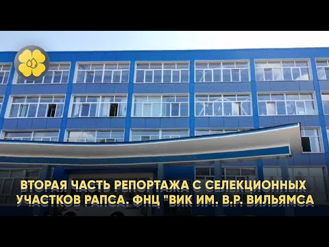 Вторая часть репортажа с селекционных участков рапса ФНЦ &quot;ВИК им. В.Р. Вильямса&quot;. 