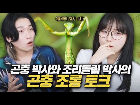 얘는 그냥 벌이 독침 명치에 꽂으면 이기지 않음? ㅋㅋㅋㅋㅋ