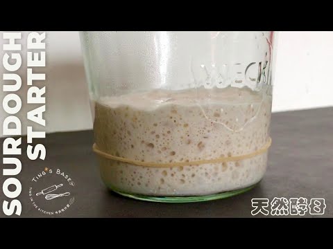 天然酵母酸麵包從起種開始一步一步養起來┃Make A Sourdough Starter From Scratch