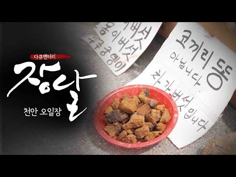 천안 오일장 | 천안 병천장 그리고 성환장의 향기에 취해 | 다큐멘터리 장날 스페셜 10회
