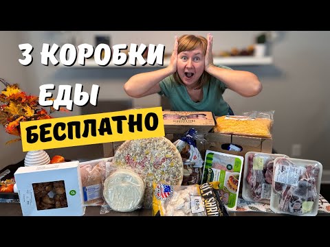 Что внутри коробок с бесплатной едой из Фудбанка в США?