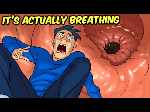 SCP Sentient Collection - INSANE OBJECTS That Think for Themselves (Compilation)