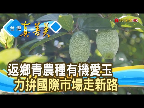 “愛玉之子”的有機翻轉｜山水裡天然愛玉｜【台灣真善美】2023.08.20