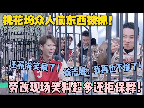 【五十公里桃花坞s5 】EP9-1:徐志胜坐大牢了!汪苏泷笑疯了!徐志胜悔不当初:再也不偷了!#五十公里桃花坞s5 #仁科 #徐志胜 #孟子义 #李雪琴