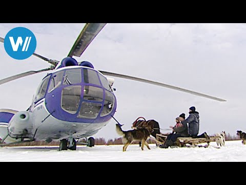 The Polar Flyer (360° - GEO Reportage)