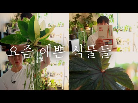 [Event] My drawing book is out! ㅣ Plant Introduction ㅣ Staying Warm in Your Home, Even in Winter ...