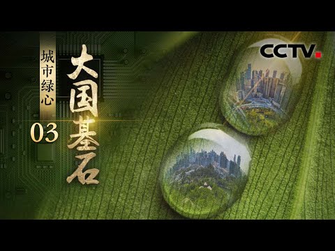 用光伏板做“发电机”，VR眼镜沉浸式监测！打造绿色城市，看“中国智慧”！《大国基石》第3集 城市绿心 | CCTV「大国基石」