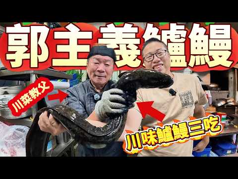 抓野生鱸鰻突擊郭師傅 鱸鰻做酸辣湯??這輩子沒看過的鱸鰻料理 頂級川味鱸鰻料理三吃 根本小當家真人版 鱸鰻知道身後變成這樣 一定很欣慰#美食
