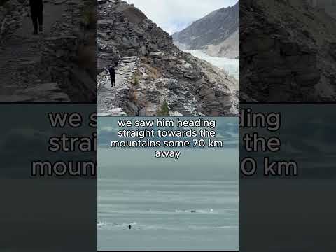 Penguin: Why #penguin #penguinstory #penguintrend