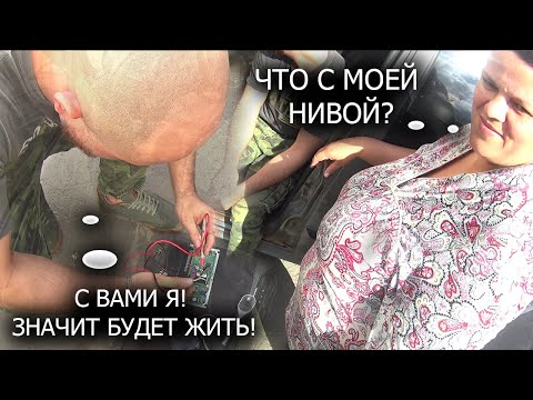 He came and solved the problem for 6 thousand: my Chevrolet Niva wouldn't start.