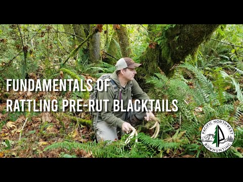 BLACKTAIL Pre-rut rattling fundamentals