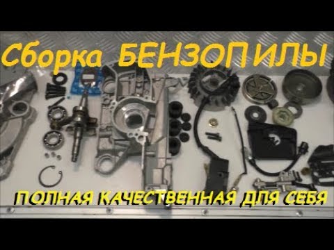 Complete assembly of chainsaws ALL nuances and refinement