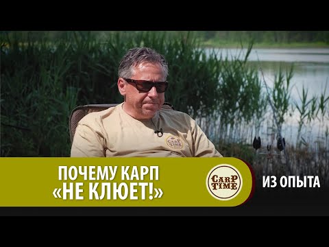 ПОЧЕМУ КАРП "НЕ КЛЮЕТ"! Карпфишинг по существу с Александром Носовцом  ИЗ ОПЫТА