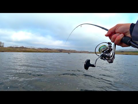ОНА ВООБЩЕ НЕ ХОЧЕТ ПОДНИМАТЬСЯ. СПИННИНГ КОЛЕСОМ ОТ ЭТОЙ ЩУКИ. Рыбалка на спиннинг осенью