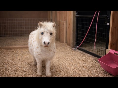 Late Night Emergency! 🚨🎄