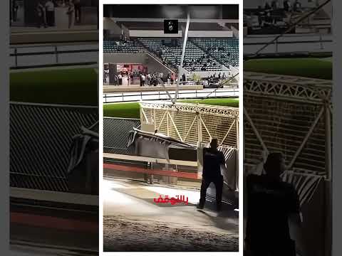 لماذا تتوقف كلاب السباق فجأة؟ اكتشف السر! #كلاب #shorts