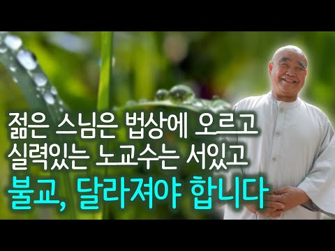 죽음이 아름다운 수행자 드물어... 죽음이 다가오면 인도로 가 사라질 생각입니다 | '산골 노승의 화려한 점심' 향봉스님 5