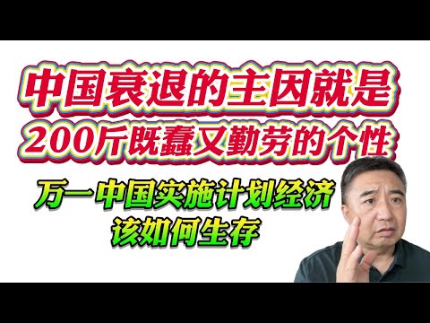 翟山鹰：中国衰退的主因就是200斤既蠢又勤劳的个性。万一中国实施计划经济该如何生存！