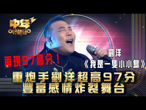 中年好聲音3｜重炮手劉洋超高97分 豐富感情炸裂舞台｜劉洋《我是一隻小小鳥》｜第21集 24強淘汰賽｜歌唱 比賽｜音樂節目｜TVB綜藝