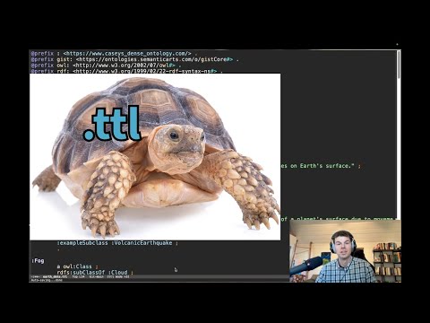 Turtle Syntax