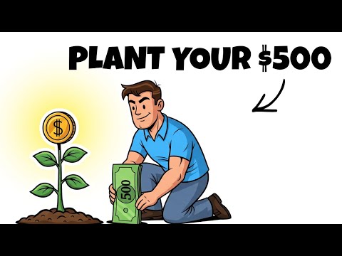 Don’t Waste Your First $500 — Do THIS Instead