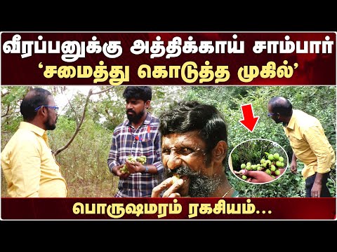 அத்திக்காய் சாம்பார் Veerappan விரும்பி சாப்பிடுவார்.. கருப்புனு கூப்பிடுவாரு.. | Mugil Veerappan