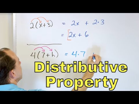 The Distributive Property with Variables in Algebra & Simplifying Expressions - [7-2-1]