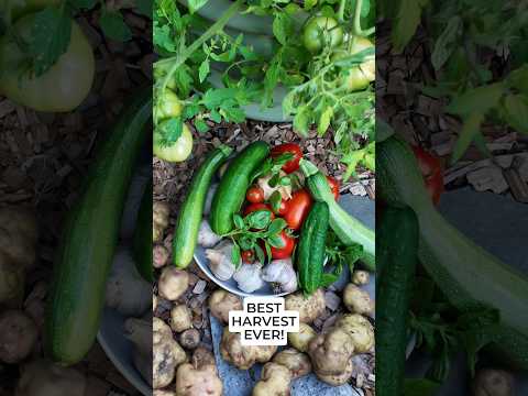 Another amazing gardening season in the books! Thank you ALL for the amazing support! 🫶🏻❤️