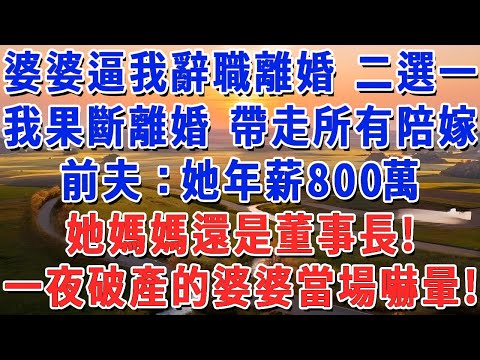 婆婆逼我辭職離婚 二選一，我果斷離婚 帶走所有陪嫁，前夫：她年薪800萬，她媽媽還是董事長！一夜破產的婆婆當場嚇暈！#妮妮故事會 #情感故事 #老年生活