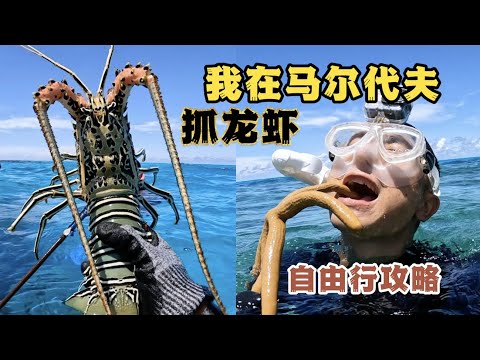 《环球探海记》马尔代夫 第19天:今天花200元包船赶海,居然被我找到一个龙虾窝!#马尔代夫 #赶海 #旅行攻略 #旅行 #旅拍 #龙虾