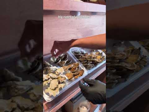 Sort-of Secret: Island Oysters, a sweet little seafood bar in Bloordale