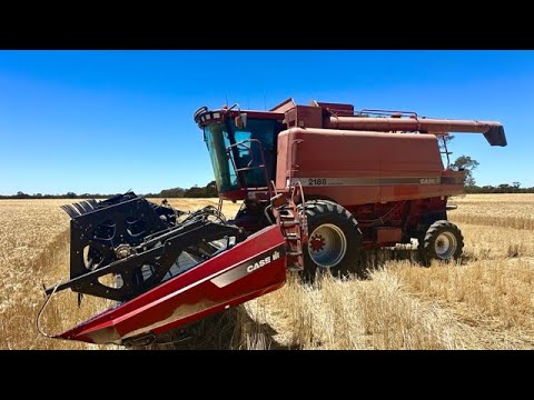 Harvest Days 31-38 | A Harvest Christmas