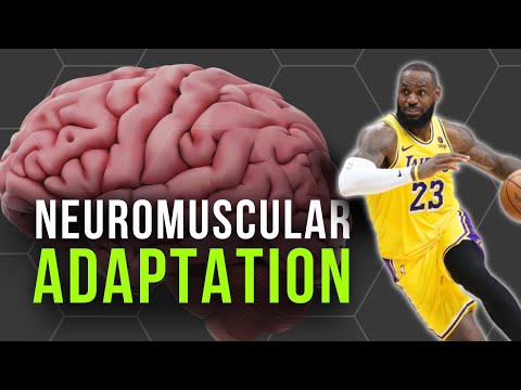 The Science of Training Your Nervous System: What Every Advanced Coach Should Know