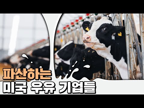 미국에서 벌어지고 있는 우유전쟁