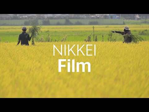 【米価高騰】新規就農、初期投資1億円　コメ作りに挑んだ若き農家【NIKKEI Film】