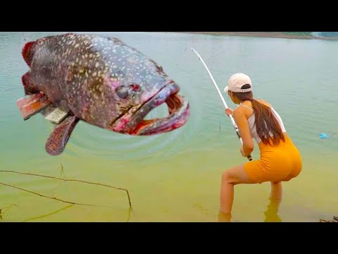 137公斤龍躉上岸嚇壞魚塘老闆!美女專業代釣百斤大魚,1888個震驚菜場【女钓友微微】