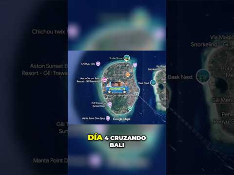 Ubud: MONOS ASESINOS, QUADS Y SUPERVIVENCIA NOCTURNA