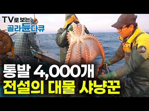 작은 놈은 우리가 먹는다! 작은 배 1척과 통발 4천 개 사서 거친 바다로 나왔다｜전설의 대물 사냥꾼｜동해 바다 만선 대문어 잡이｜바닷가 사람들｜#골라듄다큐