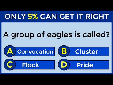 ONLY 5% CAN SCORE 100% | Vocabulary Challenge #42