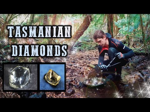 Hunting for Diamonds in Tasmania!