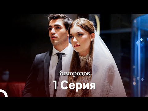 Зимородок 1 Cерия (Русский дубляж)(Длинная Bерсия)