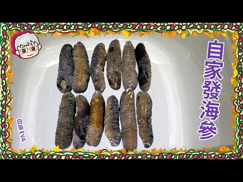 自家發海參
