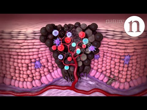 Tumour immunology and immunotherapy