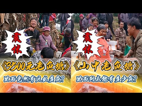 大表哥花3500元包下阿姨家的老鱼塘,抽干水最后是赚还是亏?|花1500元包下阿姨山中的老鱼塘,抽干水里面会有多少鱼?